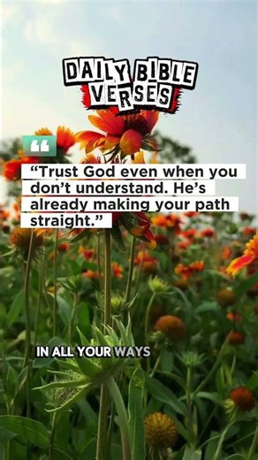 📖 Proverbs 3:5–6 | daily bible verse #bible