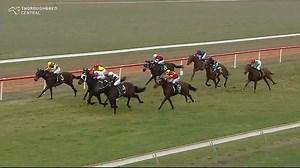 7.8K views · 55 reactions | HOT BANDIT win the Narrandera Cup! A big finish from the Luke Pepper Racing gelding denies Prince Of Helena three straight in the Big Dance  eligible race at Narrandera Race Club Inc while Louie's Legacy finished third. TAB | Racing NSW | Facebook