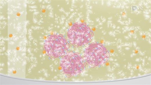 Video: Formulating mRNA-Loaded Nanoparticles for Vaccination Purposes - Experiment