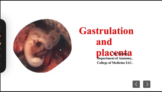 Gastrulation &placenta