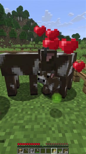 new baby cows added in the 26.1 minecraft update tutorial
