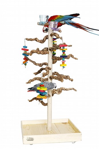 Ultimate Natural Wood Parrot Stand Perch - Etsy