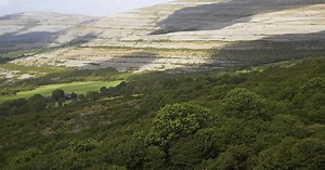 Just an expanse of bare rock? Take another look at the Burren