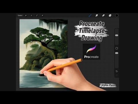 Procreate Drawing Tutorial - Timelapse
