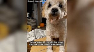 Dog owners turn their dead pet into a porch ornament that they still kiss and stroke