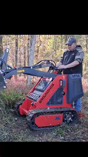 Clearing Brush with a Groundhog mini skidsteer