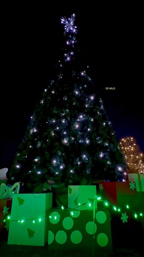 33K views · 837 reactions | ✨ Annual Estes Park Tree Lighting ✨ What a beautiful evening in town tonight! The lights were absolutely gorgeous, but my favorite part was seeing so many smiling faces gathered together to kick off the season. ❤️ #happyholidays #christmas #fypシ #Colorado #treelightingceremony #estesparkcolorado #feative #magical #tistheseason | Colorado Wild Photography | Facebook