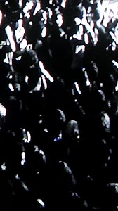 Run For Cover Records on Reels