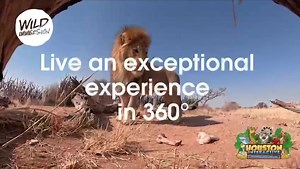 1K views · 24 reactions | Come experience this new virtual experience here! Cost is 60 credits and available now. https://www.houstonaquariumtx.com | Houston Interactive Aquarium and Animal Preserve | Facebook