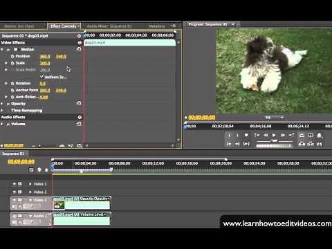 Transforming Video Clips - Adobe Premiere Pro CS5 Video Tutorials