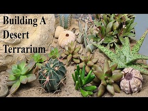 Building A Desert Terrarium