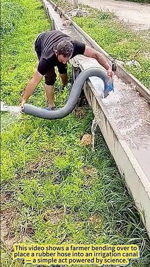 Farmer’s Clever DIY Siphon Watering Hack!