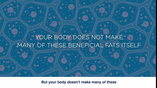 Nordic Naturals Pro DHA Junior, Strawberry - 180 Mini Chewable Soft Gels - 250 mg Total Omega-3s with EPA & DHA - Brain Development & Visual Function - Non-GMO - 45 Servings