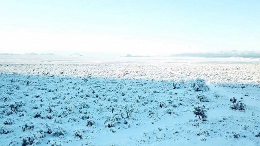Arizona desert covered in snow as winter storm brings plummeting temperatures
