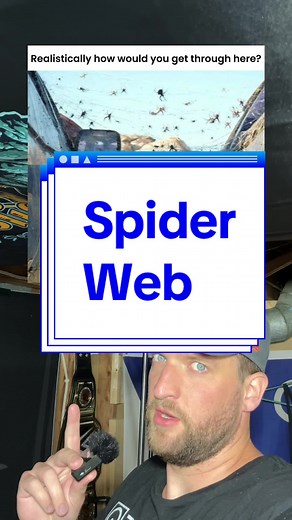 Spider Web Survival Techniques: Learn How Strong Spiders Webs Really Are
