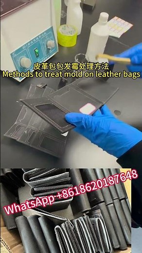 Methods to treat mold on leather bags