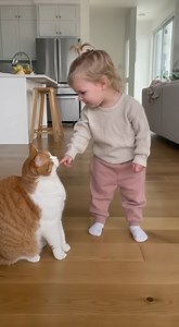 “Disciplinary Actions by a Two-Year-Old” | Cute pie