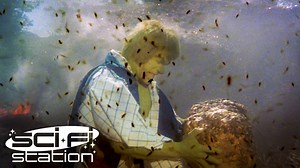 216K views · 6K reactions | Lesson for the day: Don't Hulk out near a beehive. OH, NO, NOT THE BEES! NOT THE BEES! AAAAAHHHHH! OH, THEY'RE IN MY EYES! #TheIncredibleHulk #MCU #LouFerrigno | Science Fiction Station | Facebook