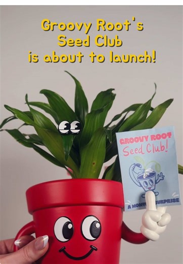 Start your new year with a new hobby! Join Groovy Root’s Seed Club for a monthly seed packet and more. 🌱✨