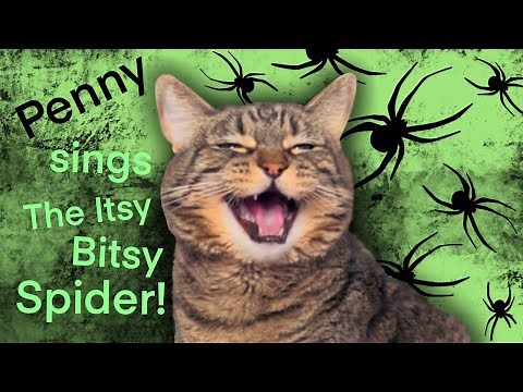 Penny sings a very unique version of The Itsy Bitsy Spider!