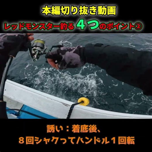 船長・達人から聞く。レッドモンスターのシャクリ回数。#ティップラン#エギング #アオリイカ
