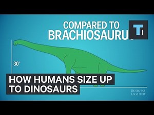 This is how humans size up in comparison to dinosaurs