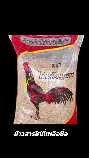 ข้าวเปลือกไก่#ข้าวไก่ วไก่