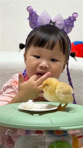 你们宝宝在超市买过最离谱的东西是什么😂😂 #看一遍笑一遍 #萌娃和萌宠 #露兮粑粑 #当人类幼崽遇到小动物 #被你萌化了