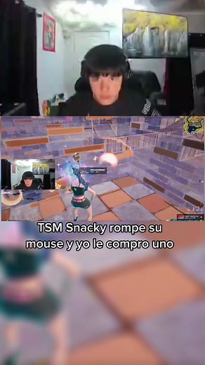 TSM Snacky's Mouse Mishap and My Replacement Gesture