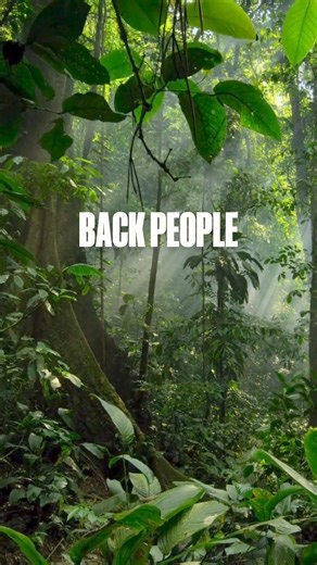 It's #EarthDay 🌎 But for Cool Earth, we... 🗣️ Back people 🌳 Protect rainforests ✊ And fight the climate crisis ... every day! For us, climate action is a daily mission. The Earth, the rainforest and the Indigenous peoples who protect these vital ecosystems need supporting all year round 🌎 Interested in doing your bit for the environment? Join our mission! 💚 | Cool Earth