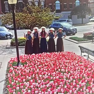 19K views · 258 reactions | Our friends at Pella Community Services have the Tulip Cam up and running! We love watching the tulips in bloom! Find it here: www.youtube.com/watch?v=CT1ZNVbiOIo | Pella Historical Museums and Tulip Time | Facebook