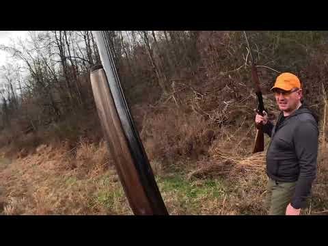 North Alabama Quail Hunting at Easter Ferry Hunting Preserve!
