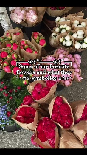 Flower Symbolism: Meanings and Aesthetics