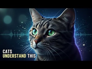 Unlocking the Secret Language of Cats: The 5 Words They Understand.