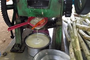 गन्ने के रस से ब्यूटेन बनाकर सुधारी जाएगी किसानों की सेहत
