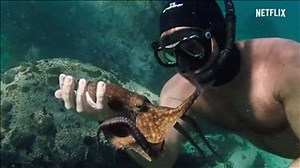 MY OCTOPUS TEACHER Trailer | Movie Trailers and Videos