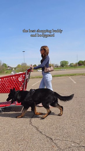 With a Priority 1 K9 protection dog, you never have to feel vulnerable. Trained to detect danger before you do. Loyal, focused, and ready when it counts. Protection that moves with you so you can live confidently, every single day. • • #protectiondogs #germanshepherd #protector #shopping #carjacking #securitydogs #safety #safetytips #dogtraining #securitydogs #doglovers #dogsofinstagram #bodyguard | Priority 1 Canine