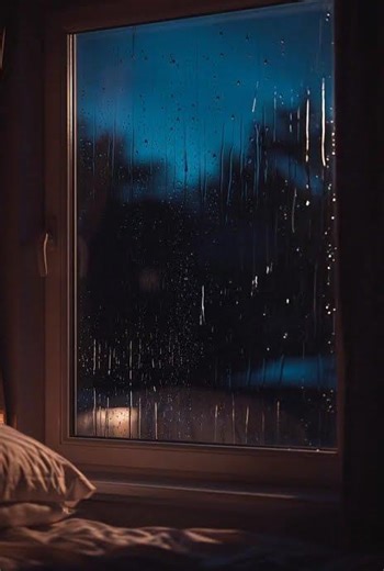 This train Rain Sound Will Knock You Out 😴