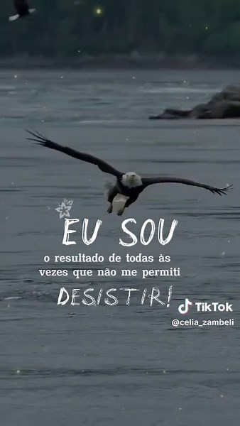 Bald Eagle in Flight Over Tranquil Waters