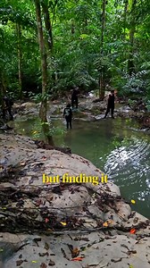 12K views · 33 reactions | If you’re looking for the perfect island...