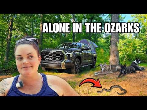 Solo Truck Camping with Rattlesnakes | Alone in the Ozarks
