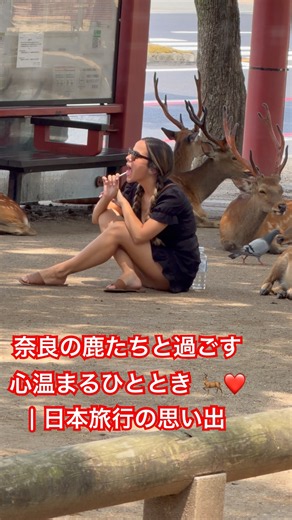 鹿たちに囲まれてほっこり癒やされる可愛い瞬間！奈良公園での忘れられない特別な思い出です✨🥰