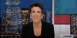 Maddow skewers Trump team hiring form: You'd 'call the cops' if your boss gave you this