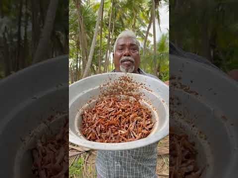 Malaysiyan Nasi Lemak Recipe Full