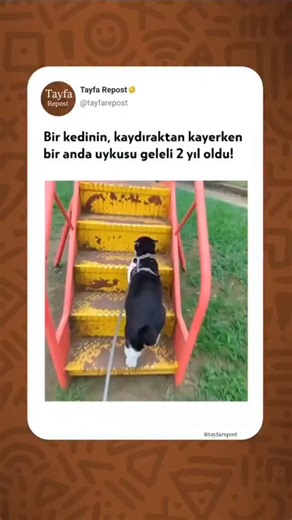 Tayfa Repost on Instagram: "Girişimci ve e-ticaretin öncüsü Jeff Bezos, e-ticaret şirketinin Amazon’un kurucusu ve yönetici başkanı, The Washington Post’un sahibi ve uzay araştırma şirketi Blue Origin’in kurucusudur. 1964 yılında New Mexico’da doğan Bezos, bilgisayarlara erken yaşta ilgi duymaya başladı ve Princeton Üniversitesi’nde bilgisayar bilimi ve elektrik mühendisliğini okudu. Mezun geldikten sonra Wall Street’te çalıştı ve 1990’da yatırım şirketi DE Shaw’da en genç başkan yardımcısı oldu