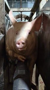 The innocent eyes of a 5-month-old... 💔 | Kinder World