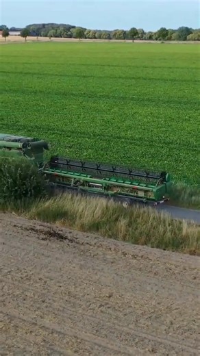 2.9K views · 146 reactions | harvester #harvesting#tractor #wheat | Agricultural Techniques | Facebook