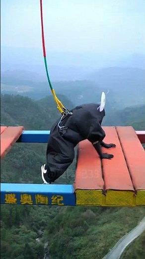 Bungee Jumping With Rope In Beautiful Place:Asmr Bungee Jumping