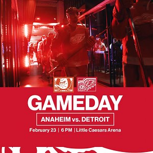40K views · 682 reactions | Back to work. #LGRW  6PM EST  FanDuel Sports Network Detroit Extra  97.1 The Ticket ️ https://bit.ly/0223_ana | Detroit Red Wings | Facebook