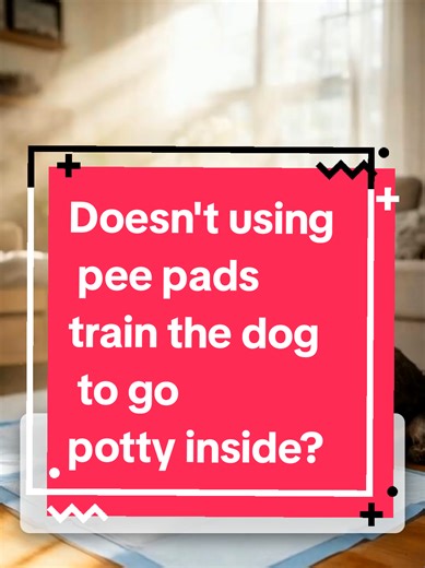 Potty pads don’t teach dogs to pee everywhere — carpets do. Dogs choose bathroom spots by texture, scent, and repetition, not by “inside vs outside.” A designated potty area gives clarity, not confusion. Comment PADS if this surprised you. #minischnauzer #dogbehavior #dogtrainingtruth #smalldoglife #winterdogs